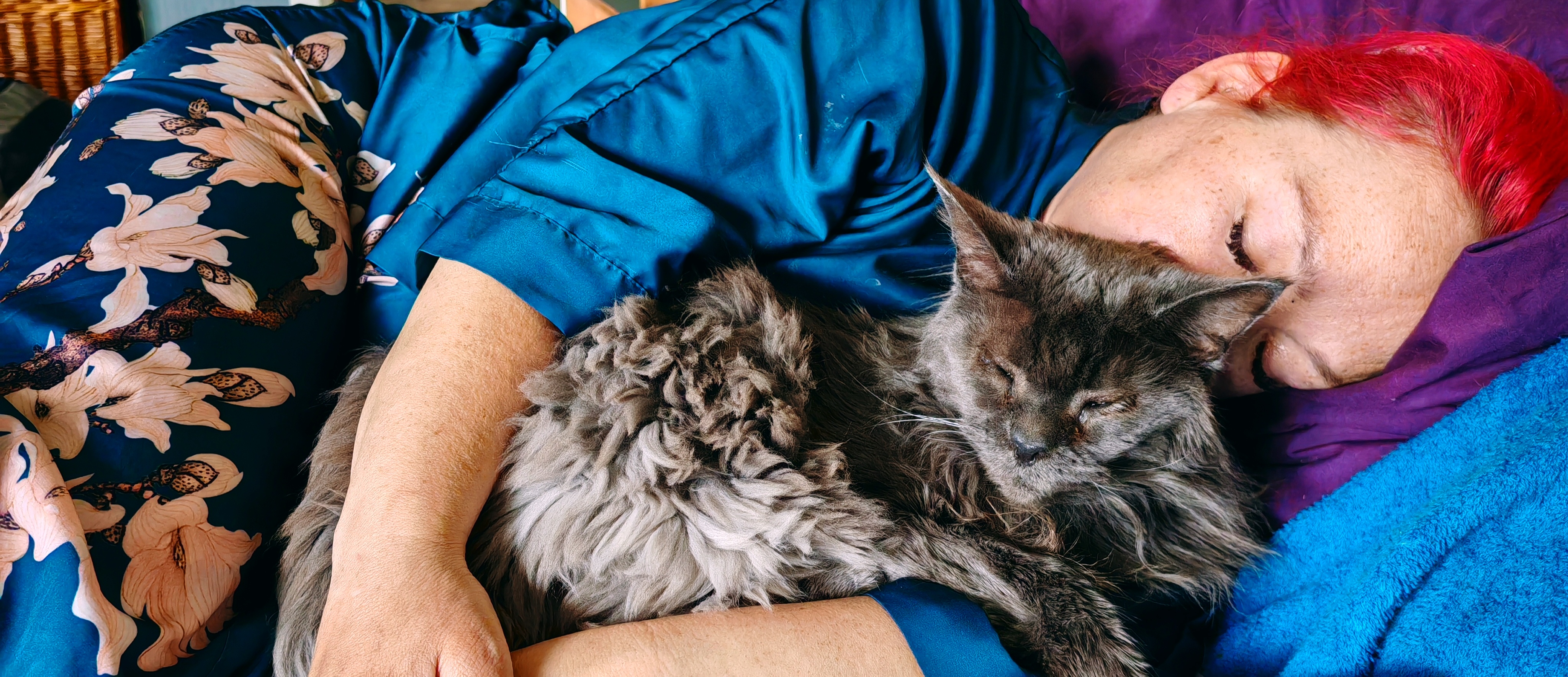 Me lying in bed with bright red hair against a purple pillow, wearing a blue satin pyjama top with a floral pattern. I'm cuddling with Mykavark, a magnificent Maine Coon cat with long grey and white fur. My eyes are closed and I look exhausted, clearly recovering from a migraine and the effects of overdoing it at Bearded Theory festival. The cat is sprawled contentedly across my arm, providing the perfect furry therapy for a rough day with FND.