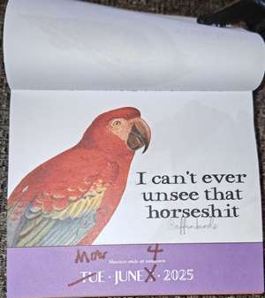 A page from an 'Effinbirds' calendar showing a beautiful illustration of a red parrot with detailed feathers in shades of red, orange and yellow. The bird has a striking yellow eye and dark curved beak. Below the illustration is the text 'I can't ever unsee that horseshit' in elegant typeface. At the bottom is a purple banner showing 'TUE JUNE 5 2025' edited by hand to read 'Mon June 4 2025'.