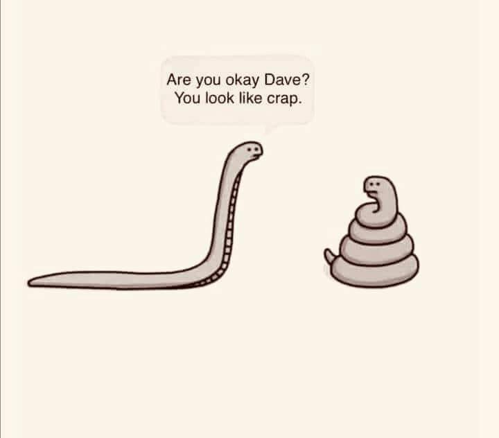 A humorous cartoon showing a long, thin snake asking a coiled snake (that looks exactly like the poop emoji) "Are you okay Dave? You look like crap." The irony being that the snake resembles the poop emoji, making this the perfect visual representation of how I feel on Dafydd Days - like someone's asking if I'm okay when I obviously look and feel terrible. 