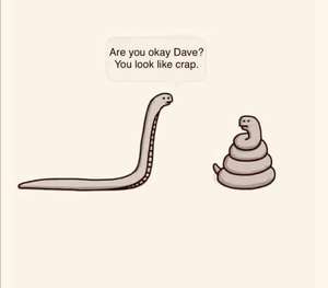 A humorous cartoon showing a long, thin snake asking a coiled snake (that looks exactly like the poop emoji) "Are you okay Dave? You look like crap." The irony being that the snake resembles the poop emoji, making this the perfect visual representation of how I feel on Dafydd Days - like someone's asking if I'm okay when I obviously look and feel terrible. 